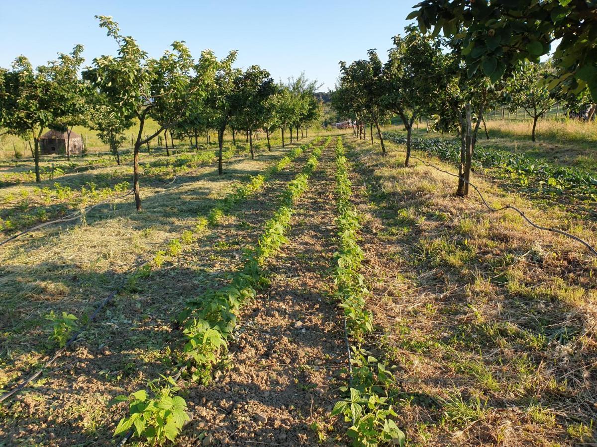 Fattoria Di Maiano Pension Fiesole Buitenkant foto
