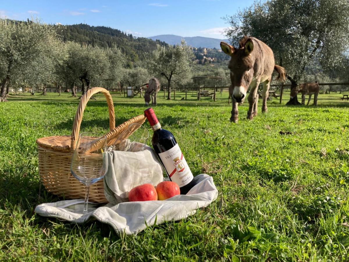 Fattoria Di Maiano Pension Fiesole Buitenkant foto
